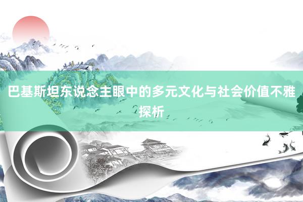 巴基斯坦东说念主眼中的多元文化与社会价值不雅探析